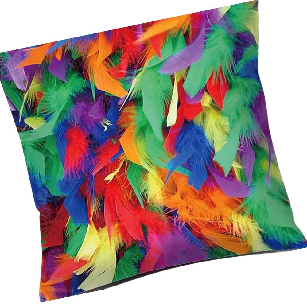 🌠Pillow Cover Feather Funky🌠